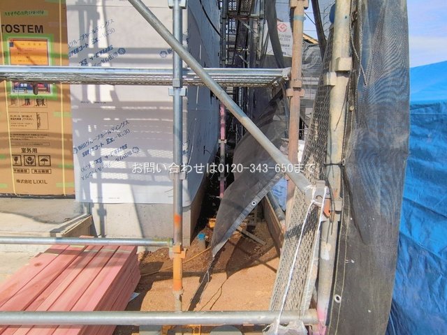 撮影日(2026-02-16 00:00:00)