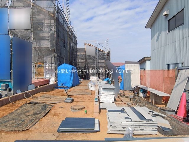 撮影日(2026-02-16 00:00:00)