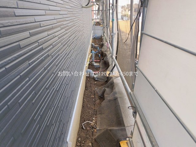 撮影日(2026-02-16 00:00:00)