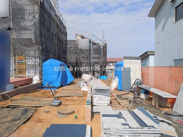 撮影日(2026-02-16 00:00:00)