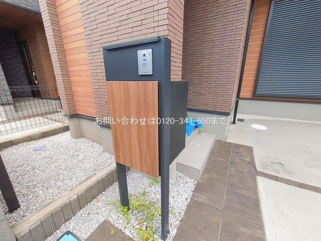 撮影日(2026-02-26 00:00:00)