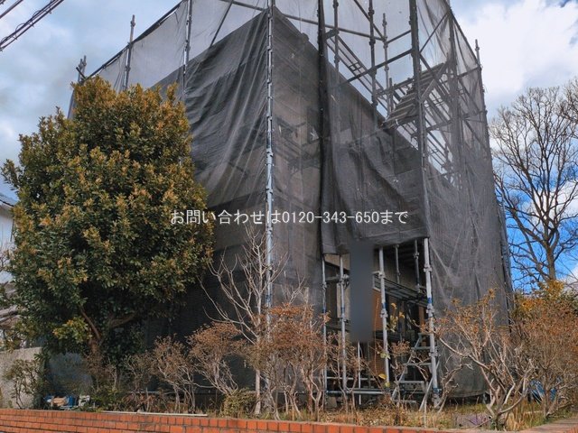 撮影日(2026-03-04)