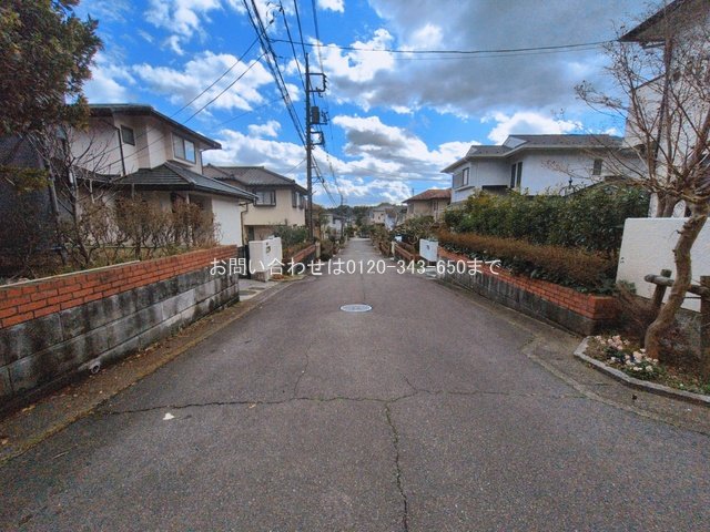 撮影日(2026-03-04 00:00:00)