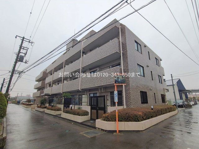 撮影日(2026-02-25)