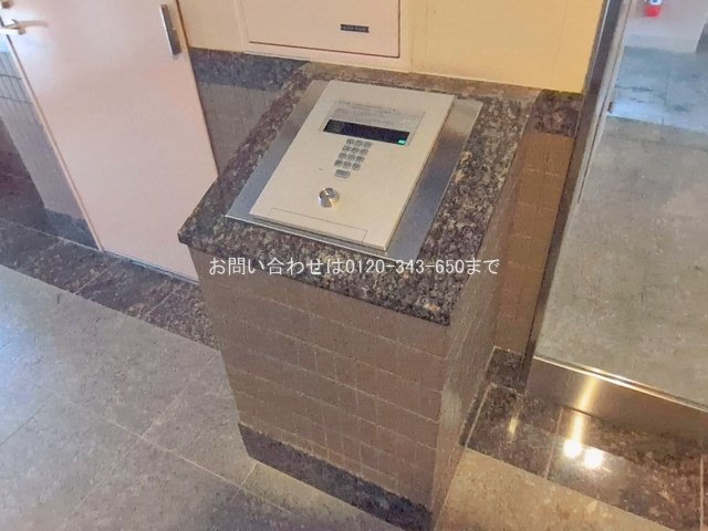 撮影日(2026-02-25 00:00:00)