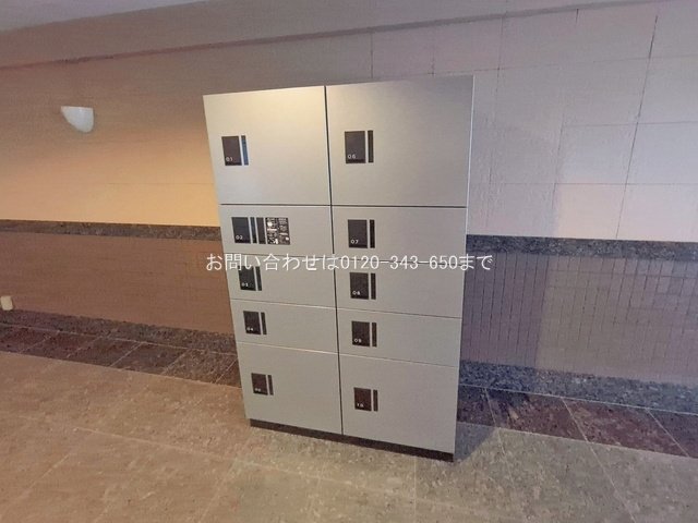 撮影日(2026-02-25 00:00:00)