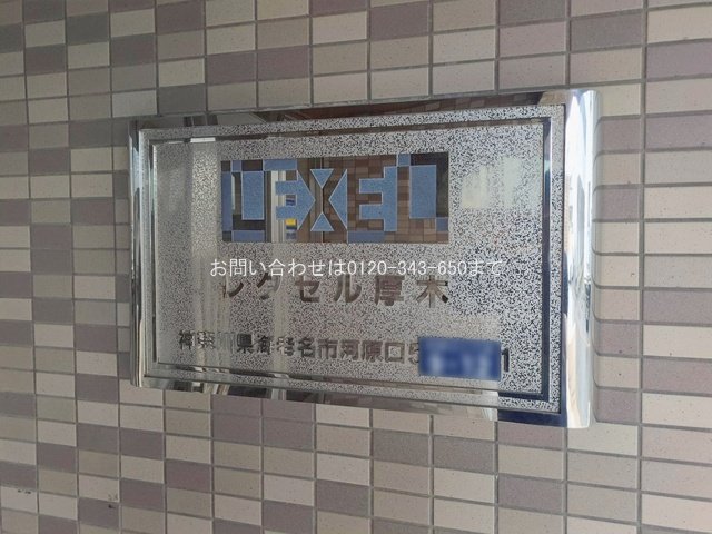 撮影日(2026-02-25 00:00:00)