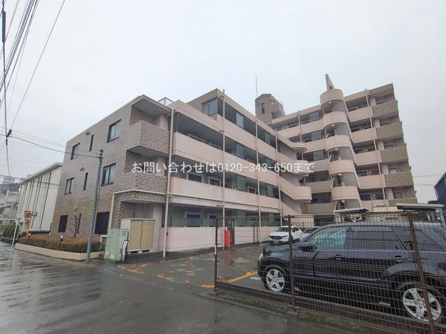 撮影日(2026-02-25 00:00:00)