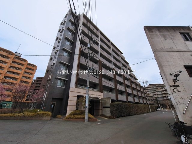 撮影日(2026-03-02)