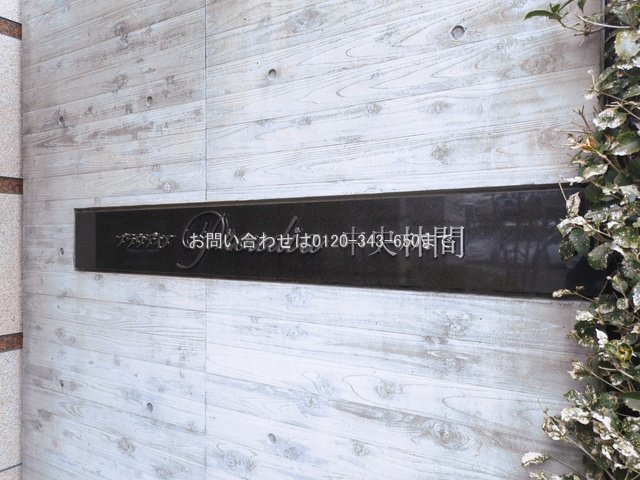 撮影日(2026-03-02 00:00:00)