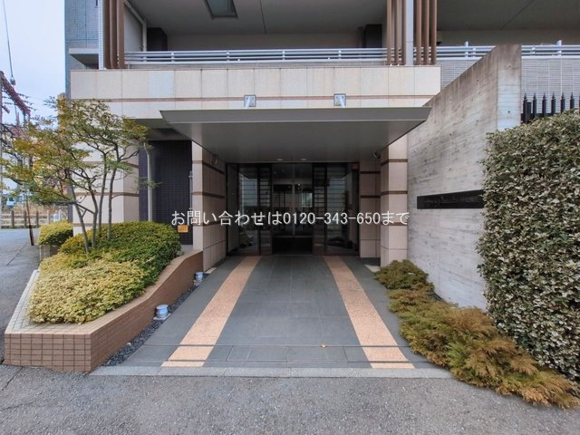 撮影日(2026-03-02)