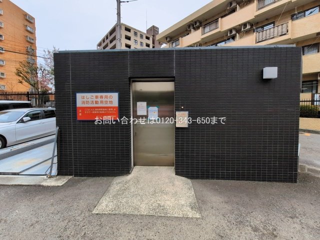 撮影日(2026-03-02 00:00:00)