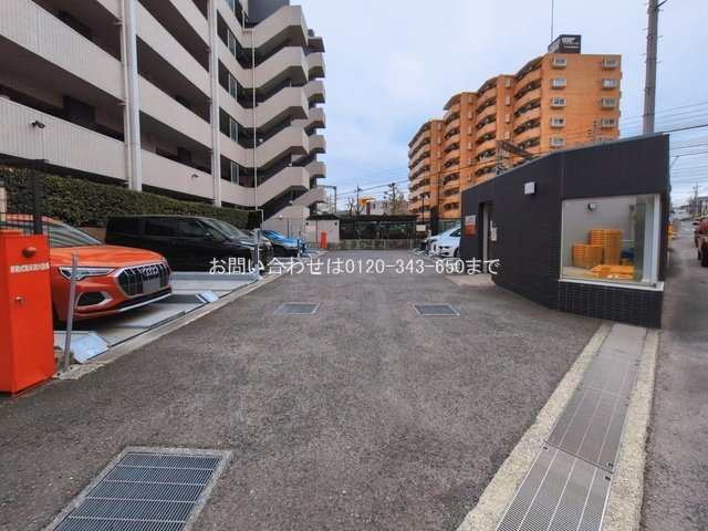 撮影日(2026-03-02 00:00:00)