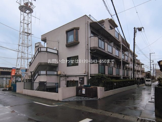 撮影日(2026-03-03)