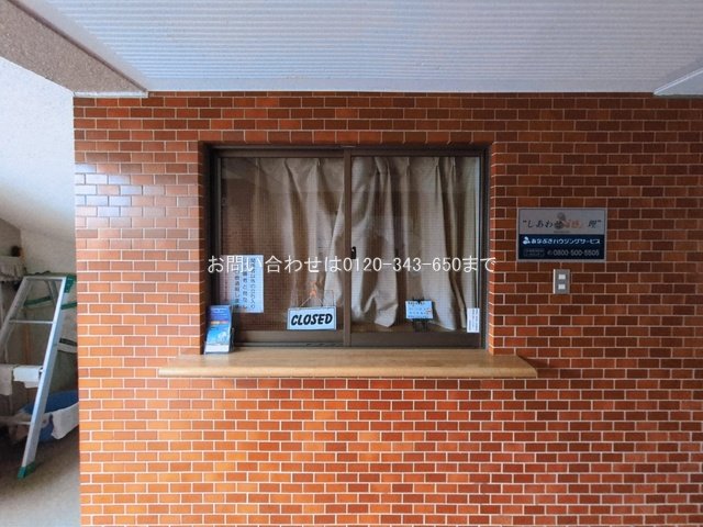 撮影日(2026-03-03 00:00:00)