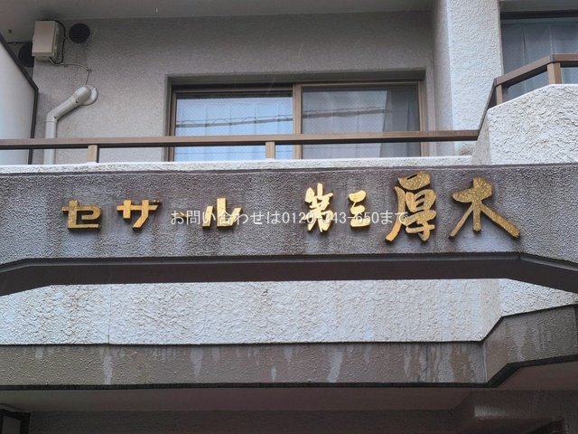 撮影日(2026-03-03 00:00:00)