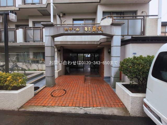 撮影日(2026-03-03)