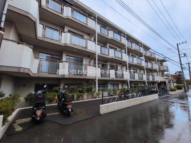 撮影日(2026-03-03 00:00:00)