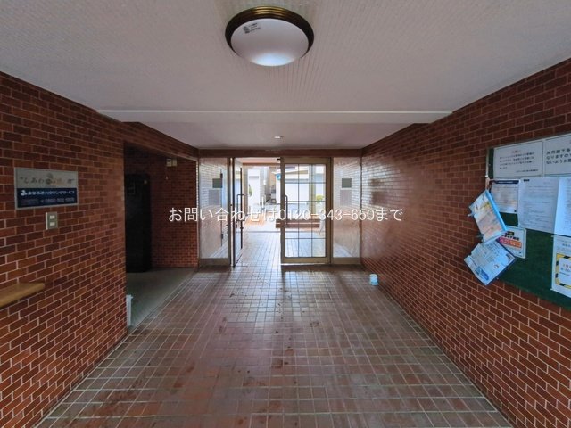 撮影日(2026-03-03 00:00:00)