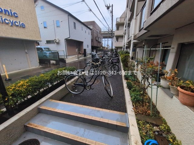 撮影日(2026-03-03 00:00:00)