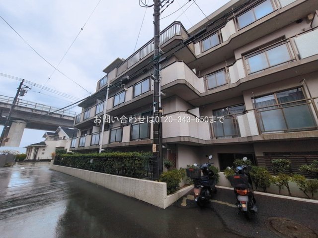 撮影日(2026-03-03 00:00:00)