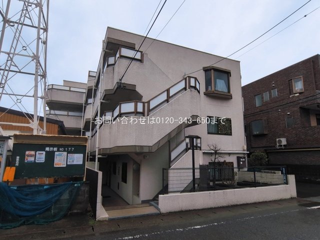 撮影日(2026-03-03 00:00:00)