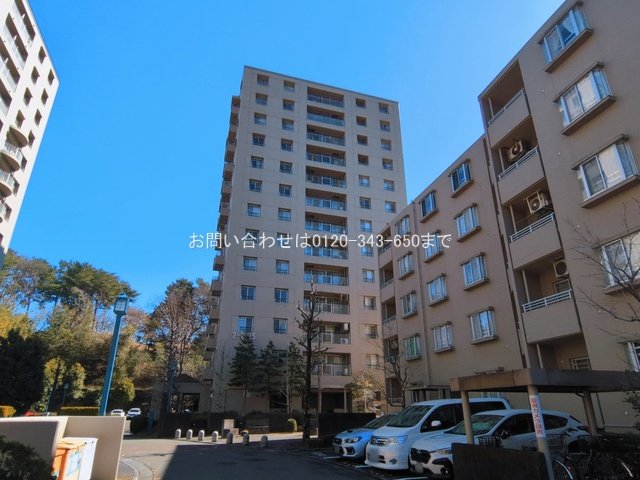 撮影日(2026-03-04 00:00:00)