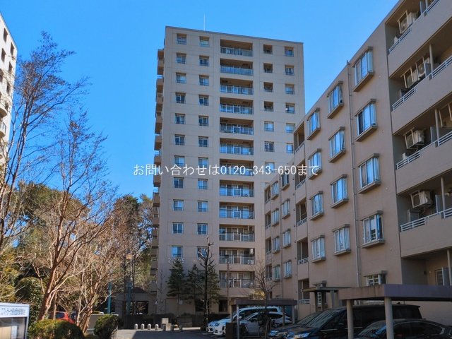 撮影日(2026-03-04 00:00:00)