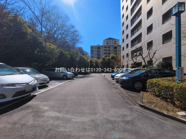 撮影日(2026-03-04 00:00:00)