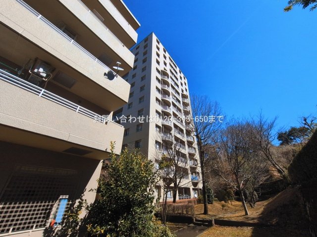 撮影日(2026-03-04 00:00:00)