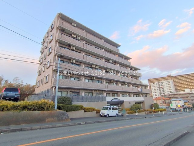 撮影日(2024-12-18)