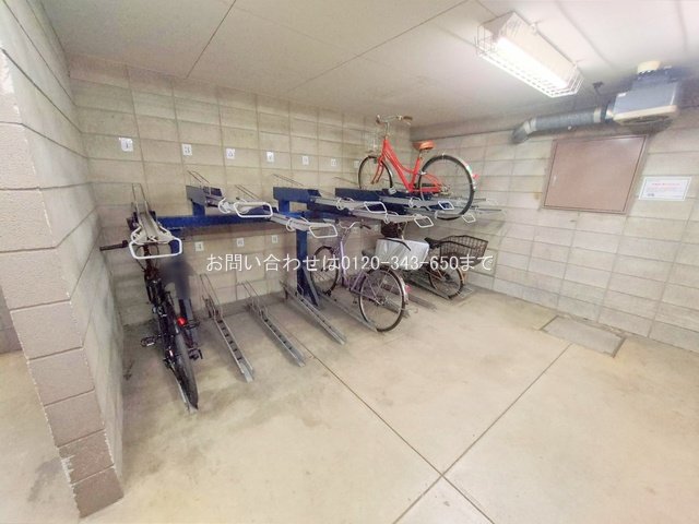 撮影日(2024-12-18 00:00:00)