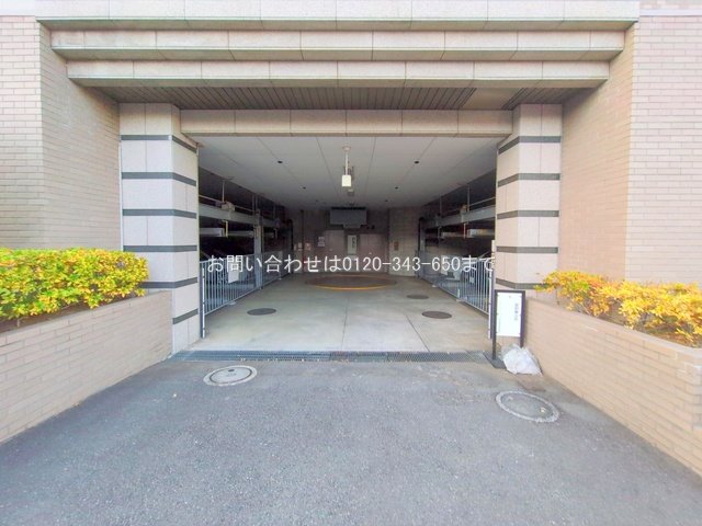 撮影日(2024-12-18 00:00:00)