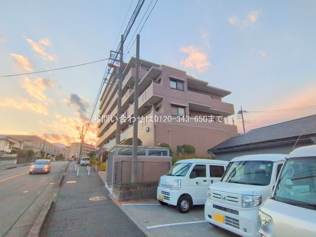 撮影日(2024-12-18 00:00:00)