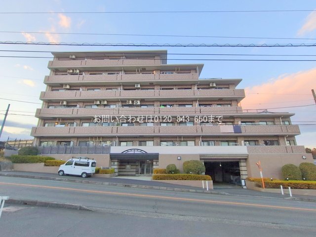 撮影日(2024-12-18 00:00:00)