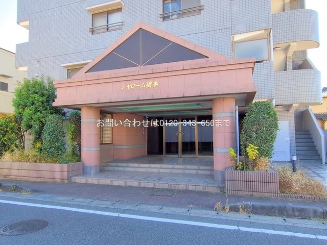 撮影日(2025-12-04 00:00:00)