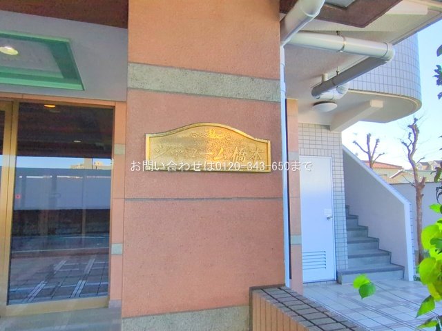 撮影日(2025-12-04 00:00:00)