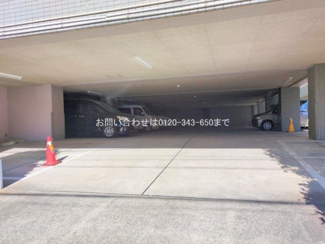 撮影日(2025-12-04 00:00:00)