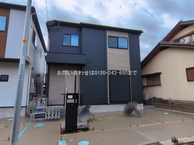 撮影日(2026-03-09 00:00:00)