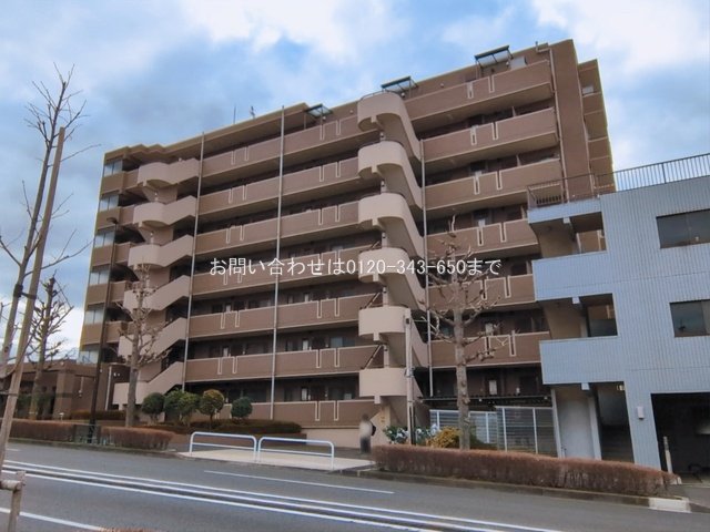 撮影日(2026-03-09)