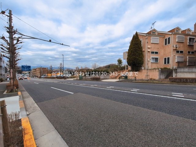 撮影日(2026-03-09 00:00:00)