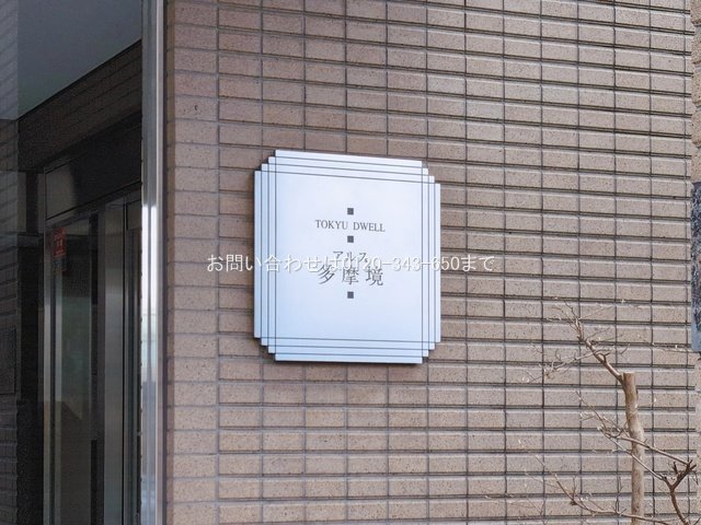 撮影日(2026-03-09 00:00:00)