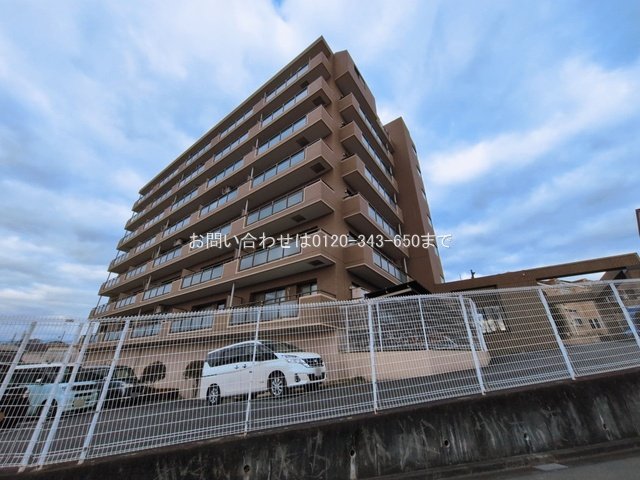 撮影日(2026-03-09 00:00:00)