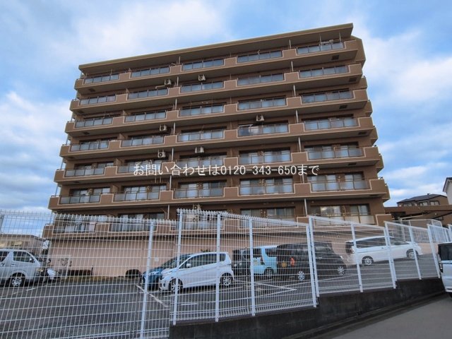 撮影日(2026-03-09 00:00:00)