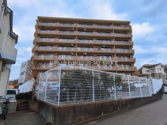 撮影日(2026-03-09 00:00:00)