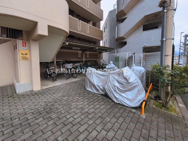 撮影日(2026-03-09 00:00:00)