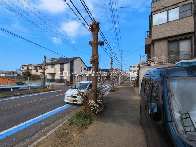 撮影日(2026-03-11 00:00:00)