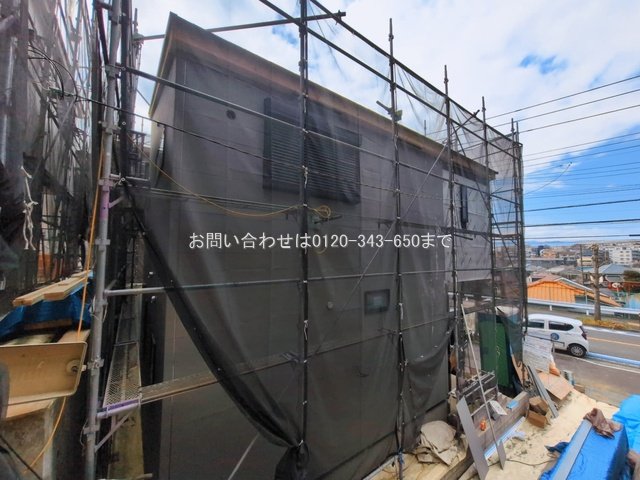 撮影日(2026-03-11 00:00:00)