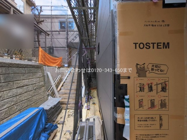 撮影日(2026-03-11 00:00:00)