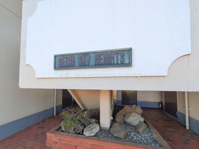 撮影日(2026-01-06 00:00:00)